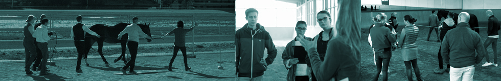 Banner 4